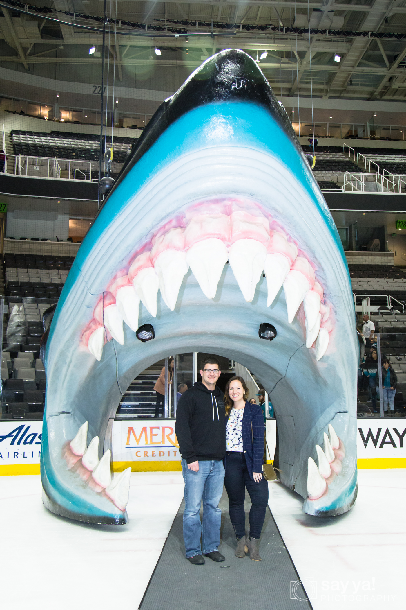 San Jose Sharks Head Photos