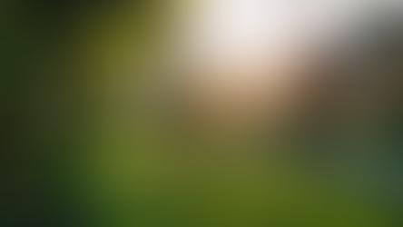 Is It Easier To Find a Home To Buy Now?