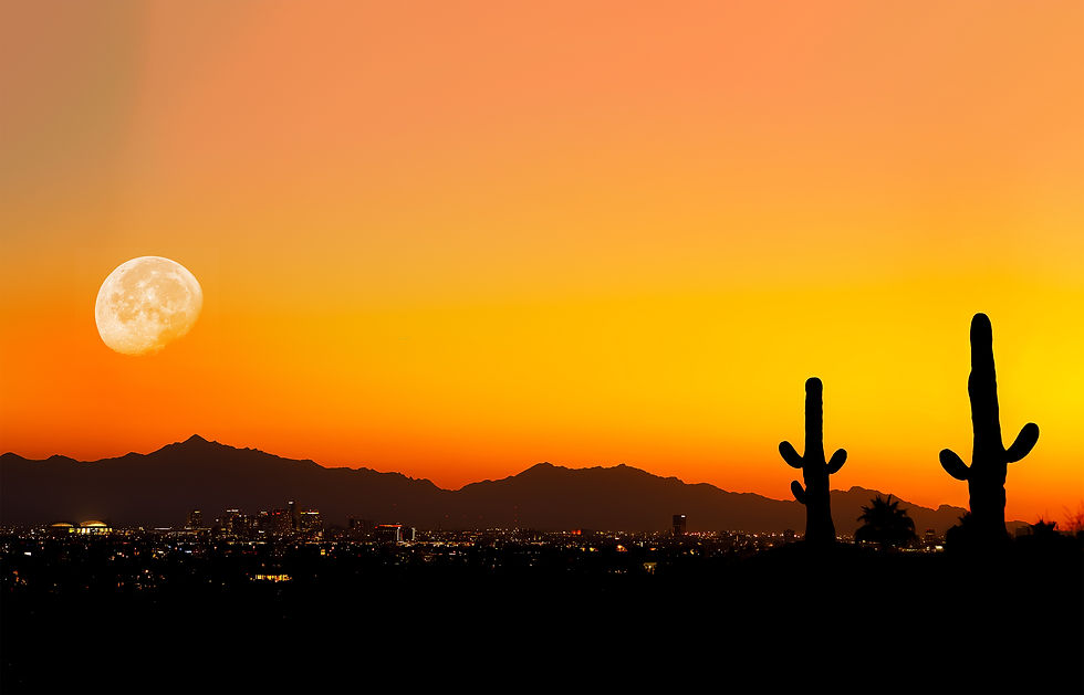 Arizona Sunset with Cacti_reduced.jpg
