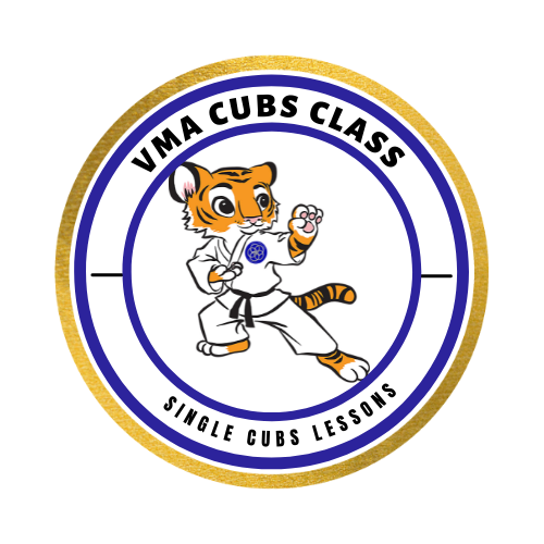 Village Martial Arts Self Defense Classes Corby Karate School