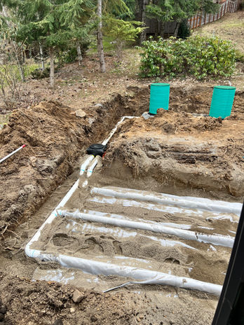 Eljen drain field and tank installed in front yard.