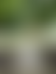 Tips & Tricks For Non-Runners (But Who Want To Be)