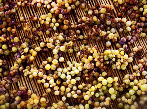 Le vin de paille