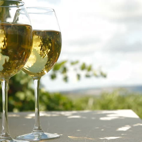 Comment fait-on du vin blanc