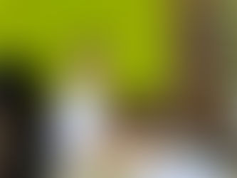 Iaculis massa nisl malesuada