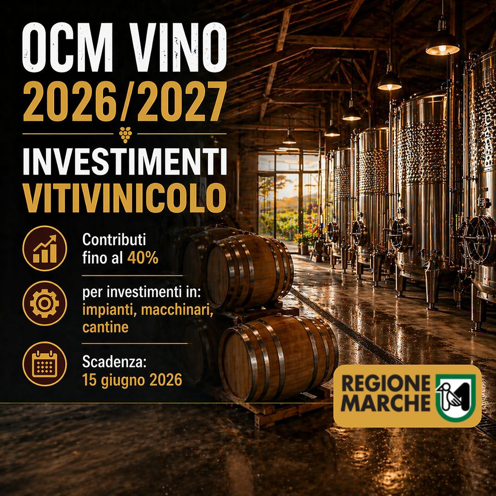 Bando OCM VINO 2026/2027: investimenti vitivinincolo della Regione Marche