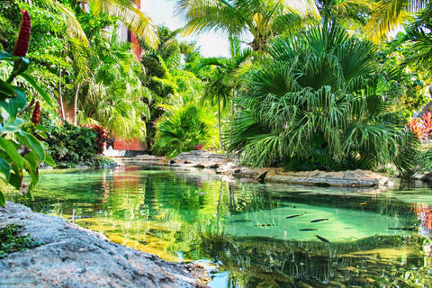 Gunite Pools of Nassau.jpg