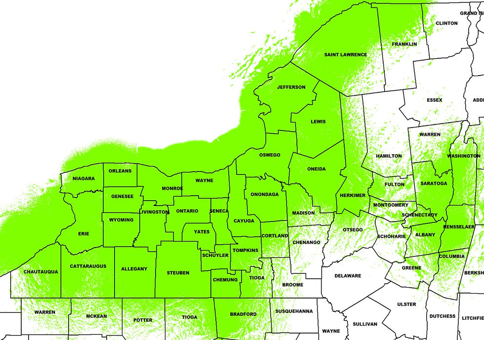 Network Coverage.jpg