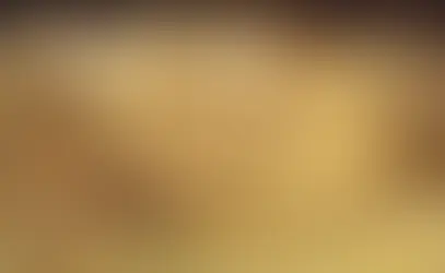 "Have you seen the Lord?"