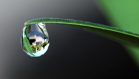 "Have you ever seen the rain?"