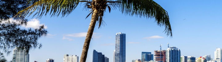 Skyline Miami