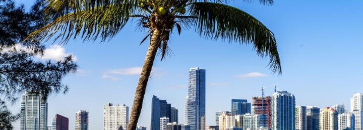 Skyline Miami