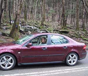 me driving test car.jpeg