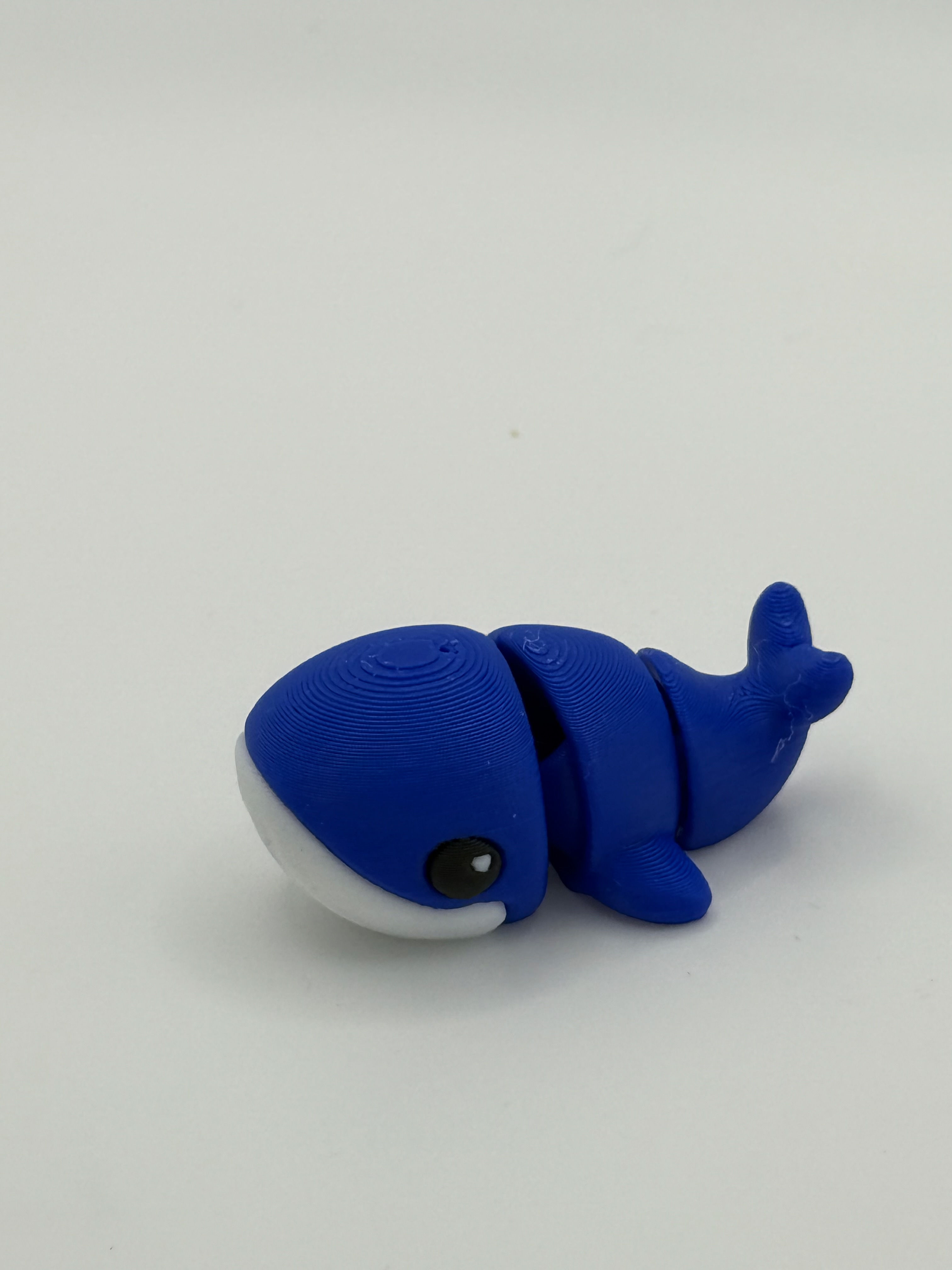 Mini Articulated Whale