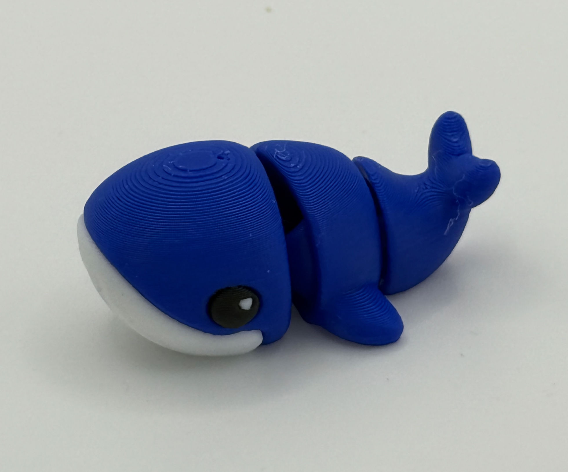 Mini Articulated Whale