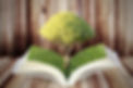 Bookoflife.jpg