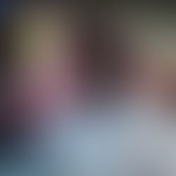 WE offer full 4 stroke kart servicing