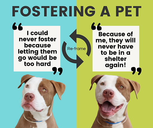 Fostering Series 1.png