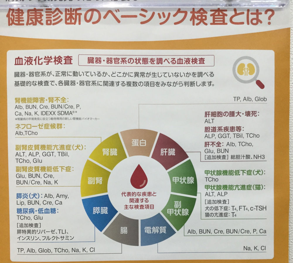健康診断してますか？