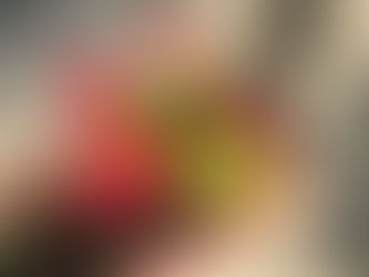 こんなに暑くても…✿