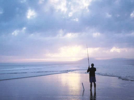 What are Omega 3 oils and why do we need them?