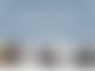 BGA ANNUAL REPORT 2019.