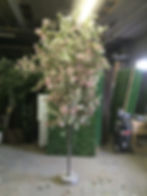 blossom tree 12ft.