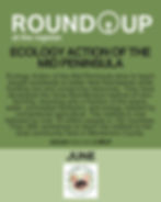 ROUND UP SOCIAL (4X5).jpg