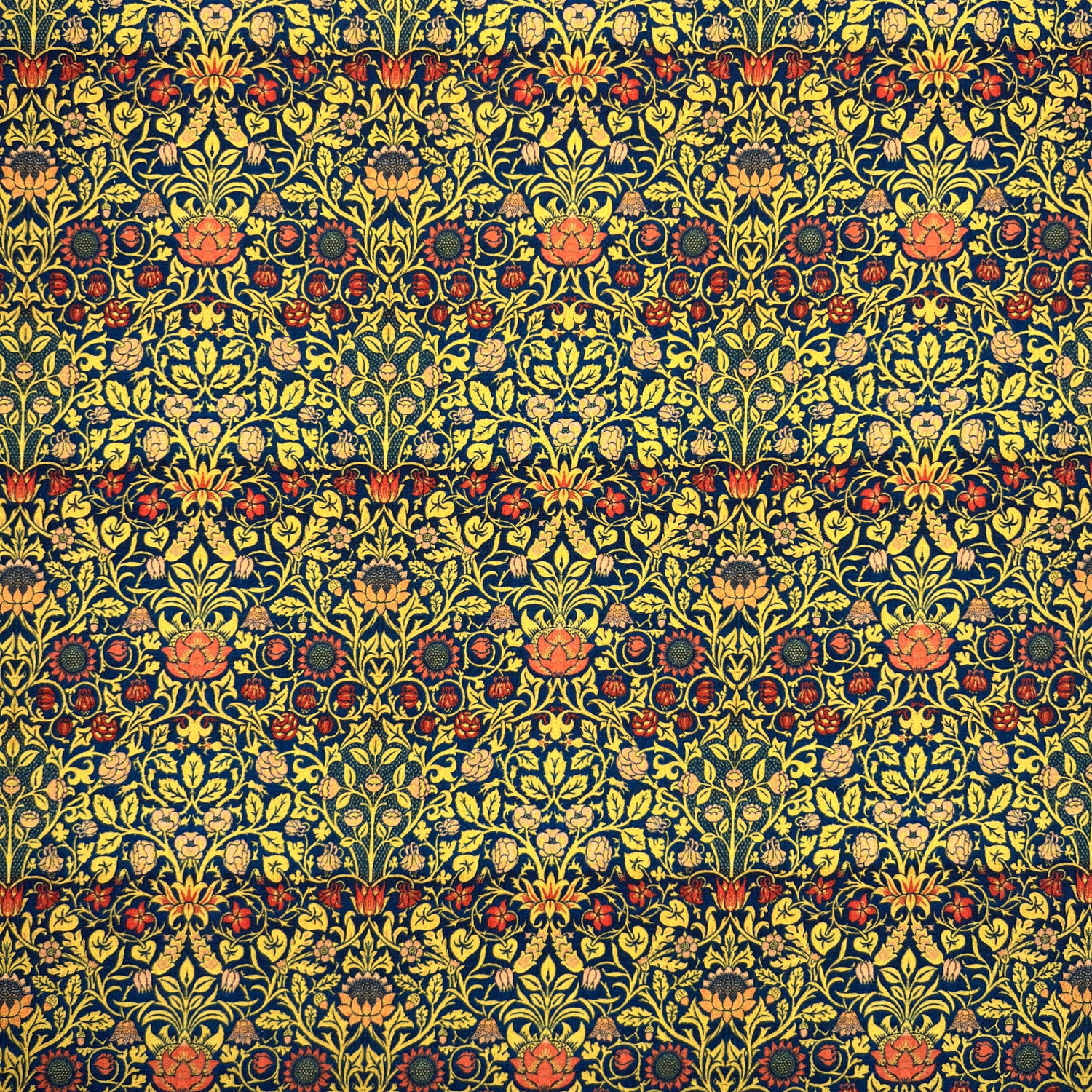 Violet and Columbine