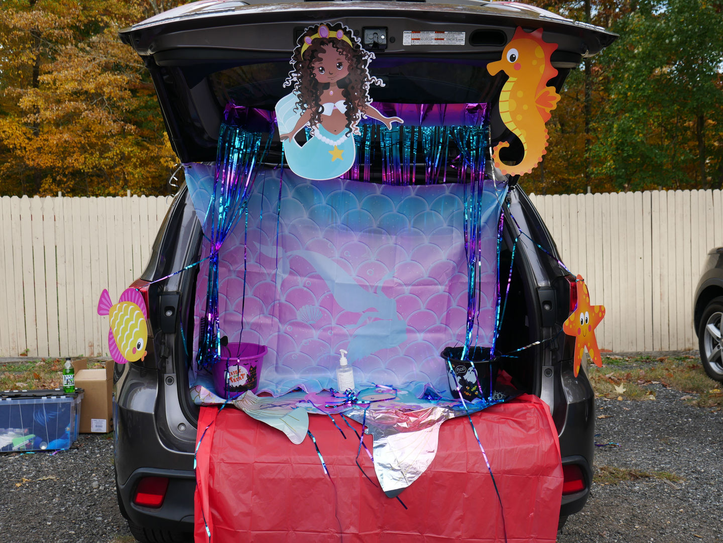 The Under the Sea Trunk