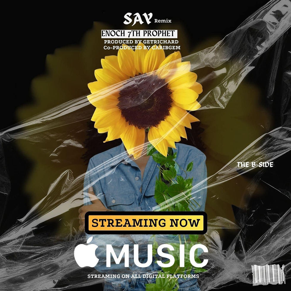NEW MUSIC: Say (remix)