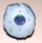 DSCF5477.JPG