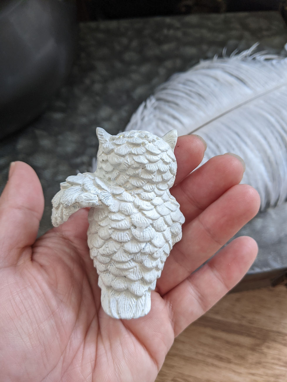 Thumbnail: Owl Pot Hanger