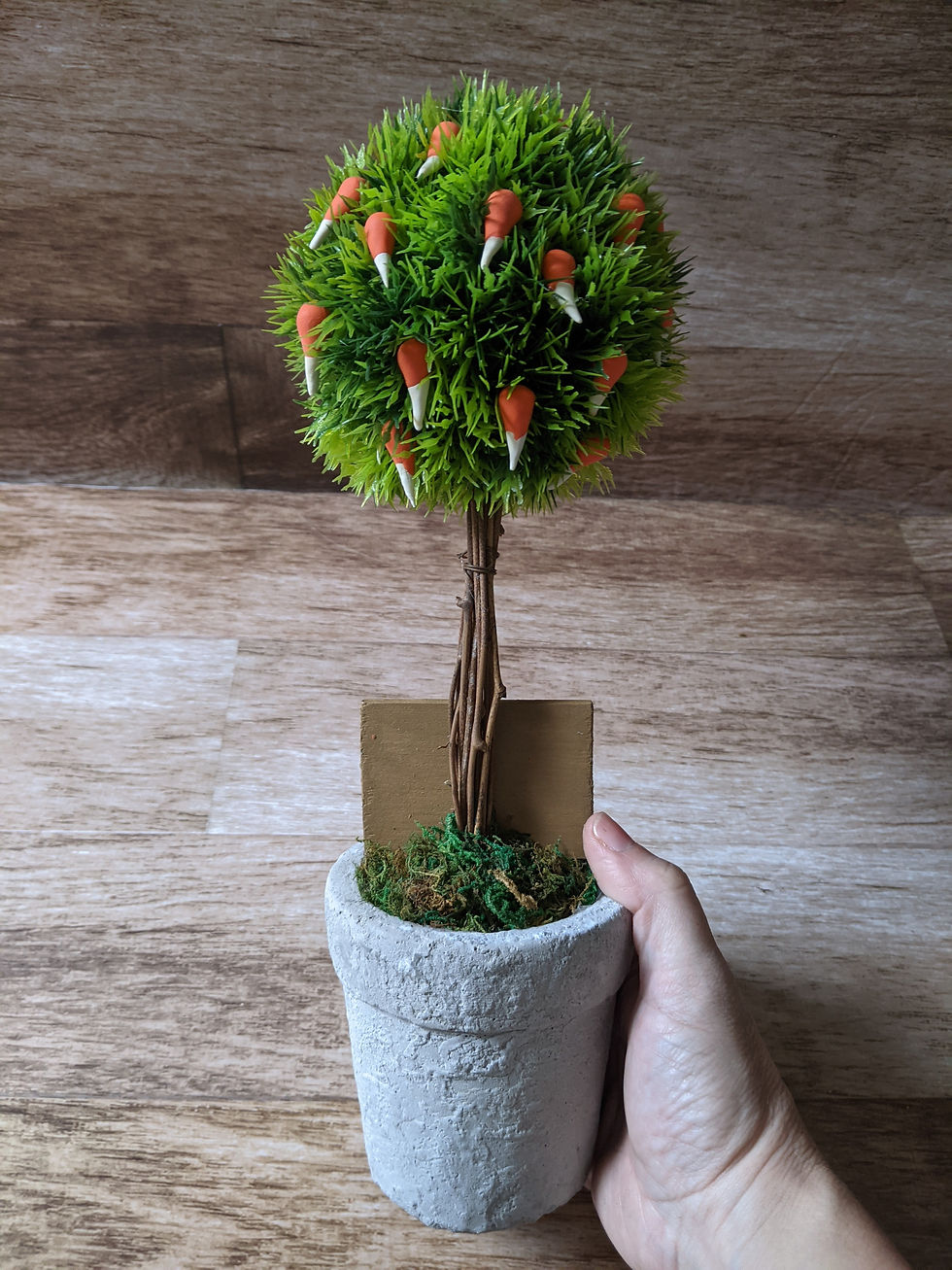 Thumbnail: Plums Topiary Tree