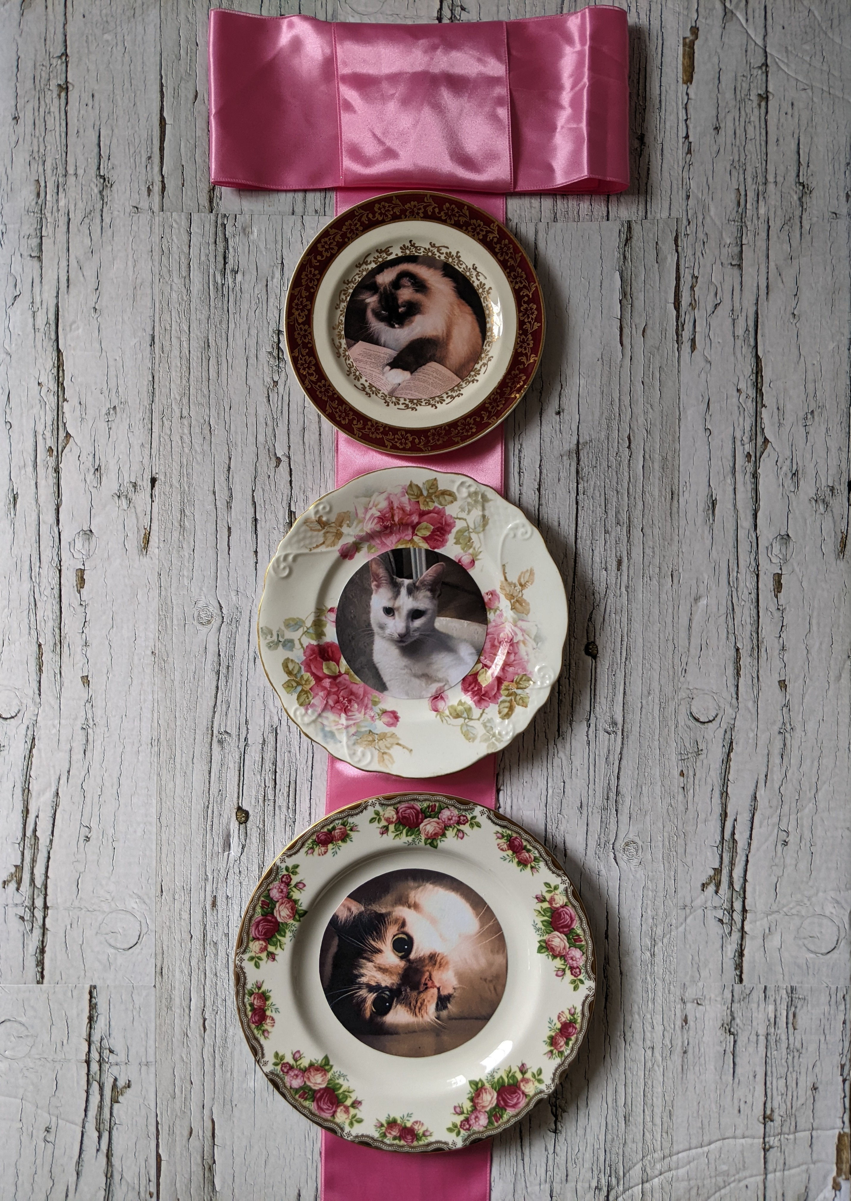 Customizable Cat Plates