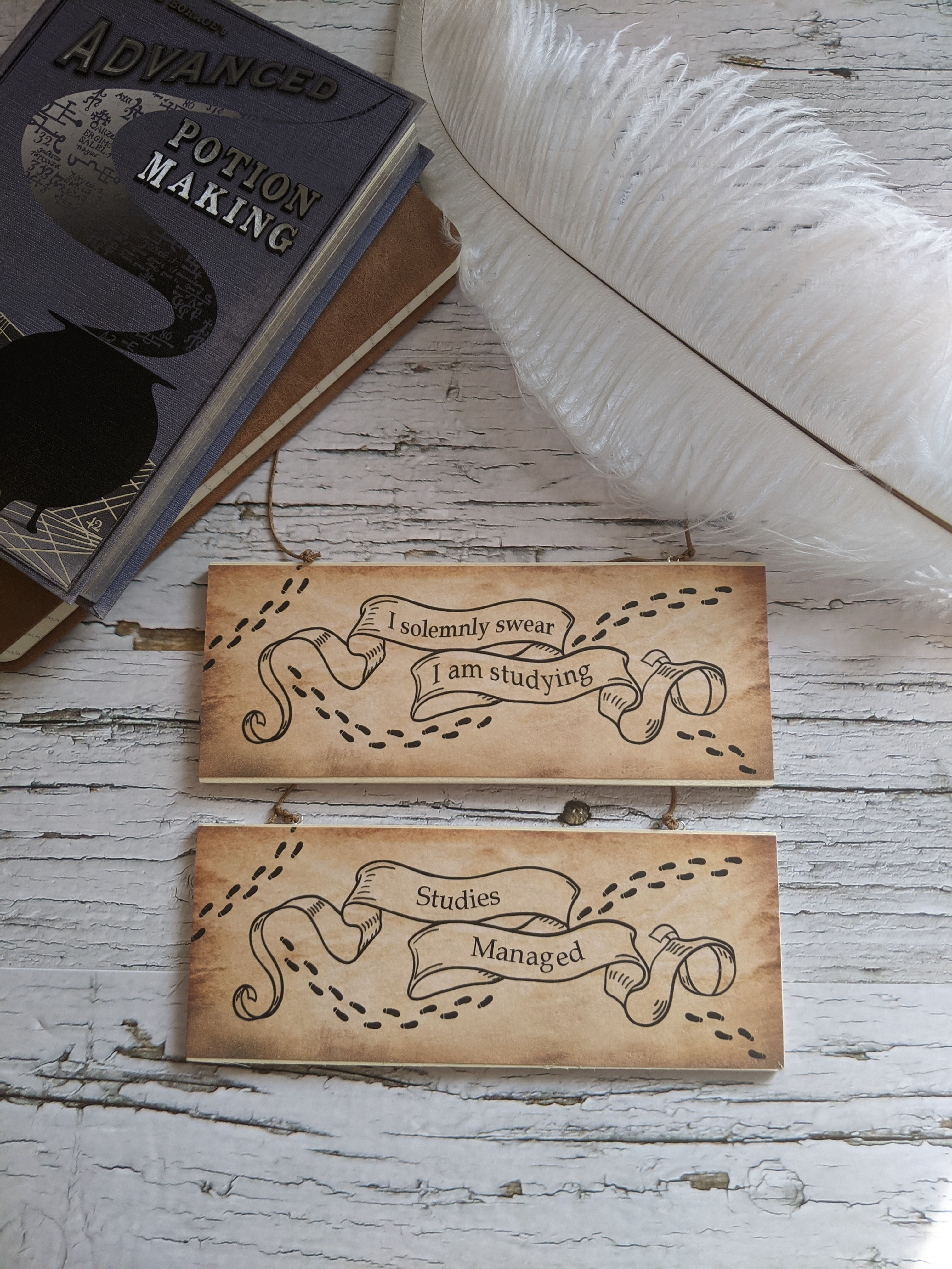 Solemnly Swear I'm Studying Door Sign