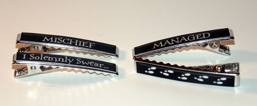Thumbnail: Mischief Barrettes