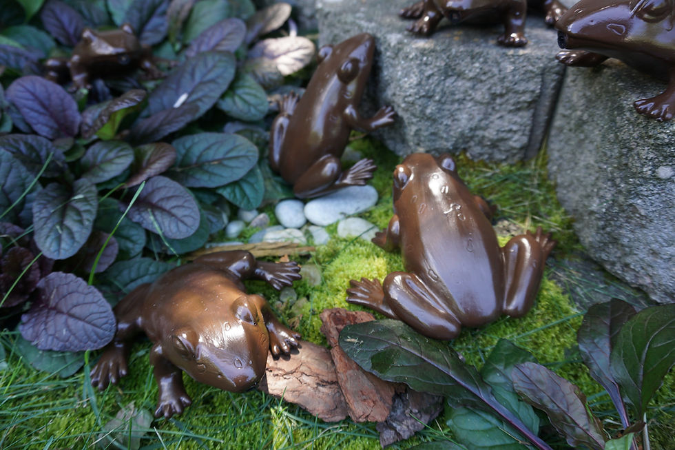 Thumbnail: Motion Sensor Chocolate Frog