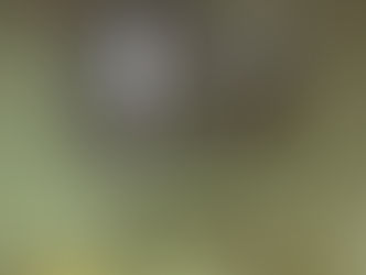 263: Kaare's Ghost Photo