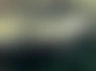 275: Mai's Photo of Yaku