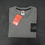 縮圖：THE NORTH FACE " TNF S/S BOX LOGO TEE "