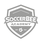 Soccer Bee /Doble ele