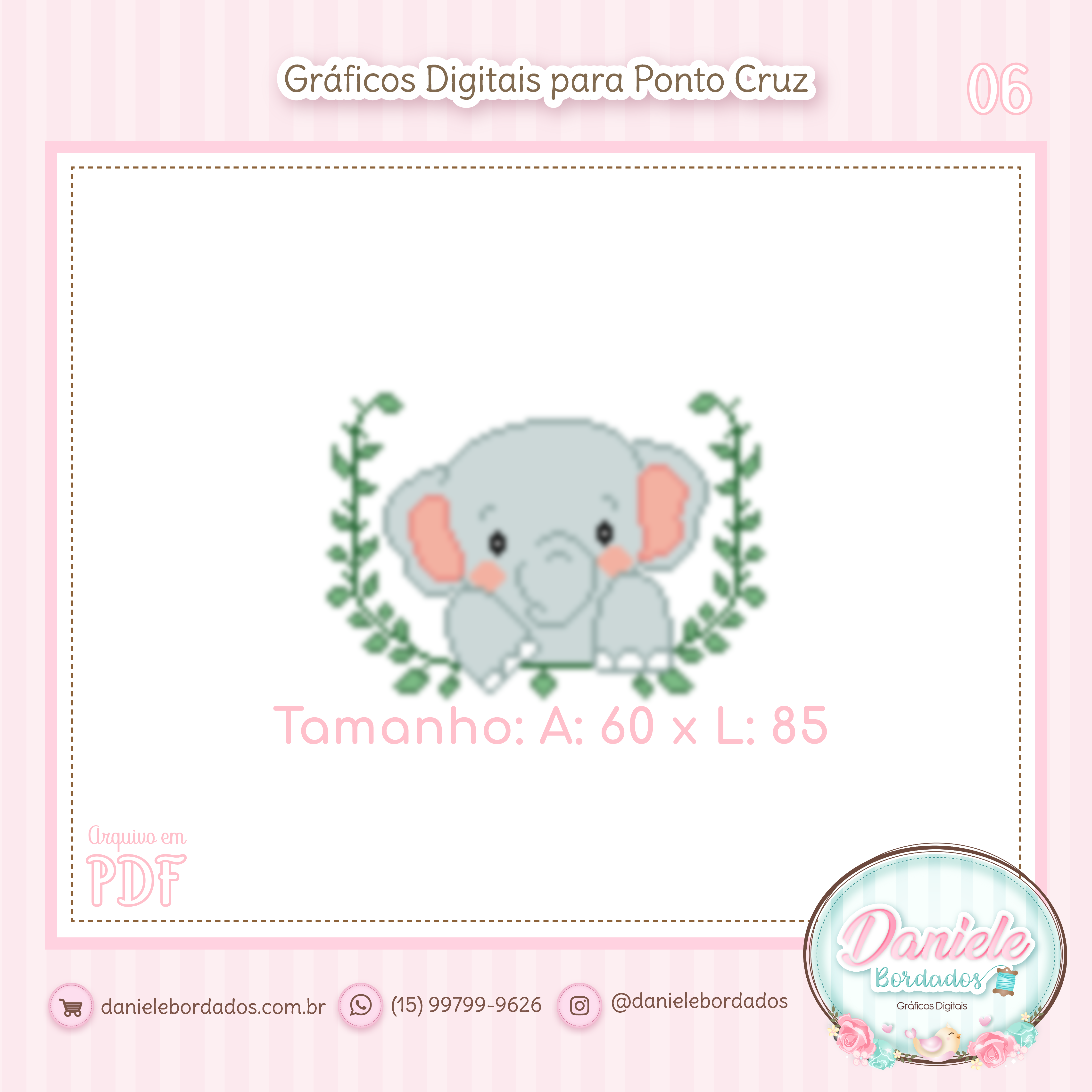 06 Elefante