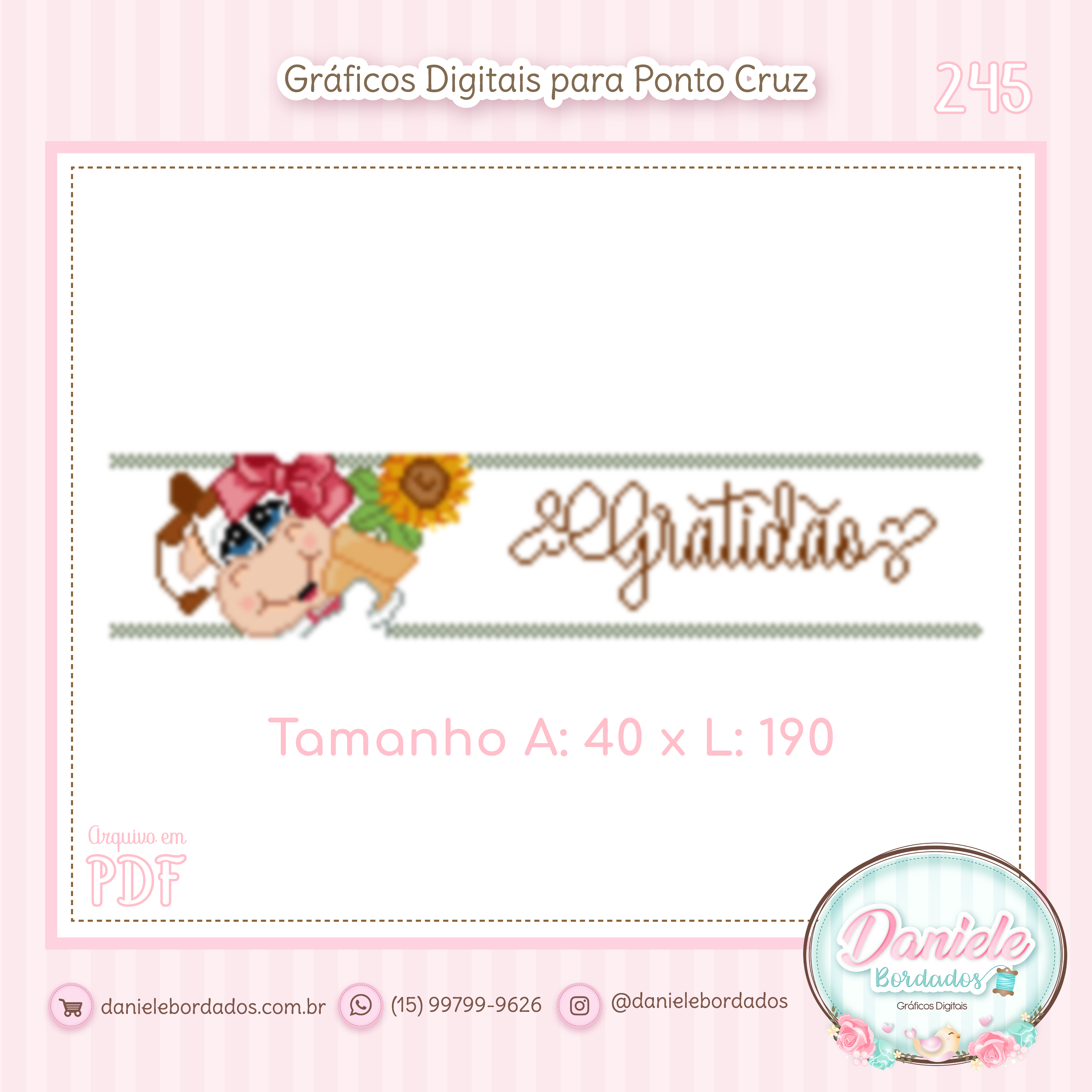 245 Vaquinha Gratidão