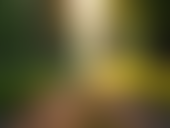 Unlock Your Potential with Integrative Coaching