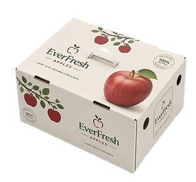 fruit 17_edited.png