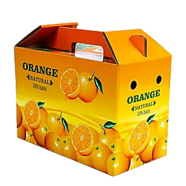 fruit13_edited.png