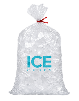 plastic ice bag