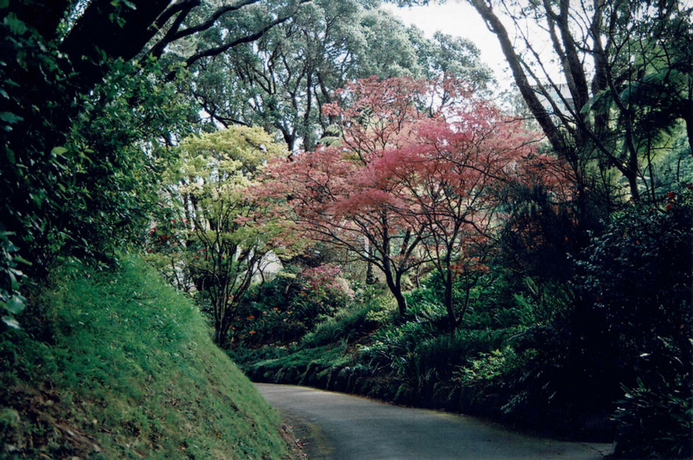 FILM088