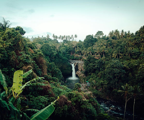 Immagine proposta di viaggio